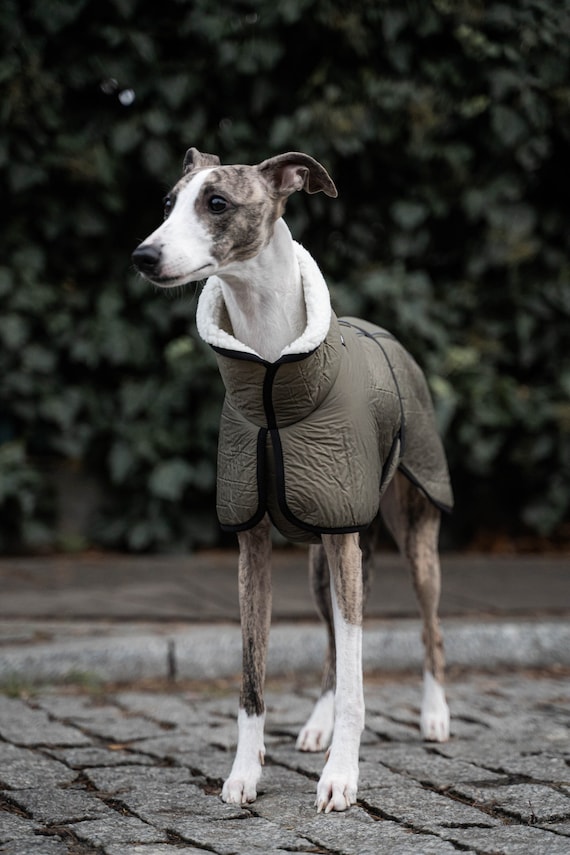 Manteau whippet hotsell