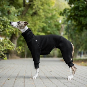 90% coton Combinaison pour Whippet vêtements pour whippet Noir image 2