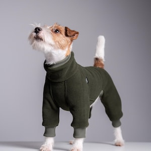 Op de afbeelding: Een kleine hond in een donkergroen fleece jumpsuit met een coltrui en geribde manchetten. De hond heeft bruin en wit haar en kijkt omhoog. De jumpsuit bedekt de poten en torso van de hond en biedt warmte en bescherming.
