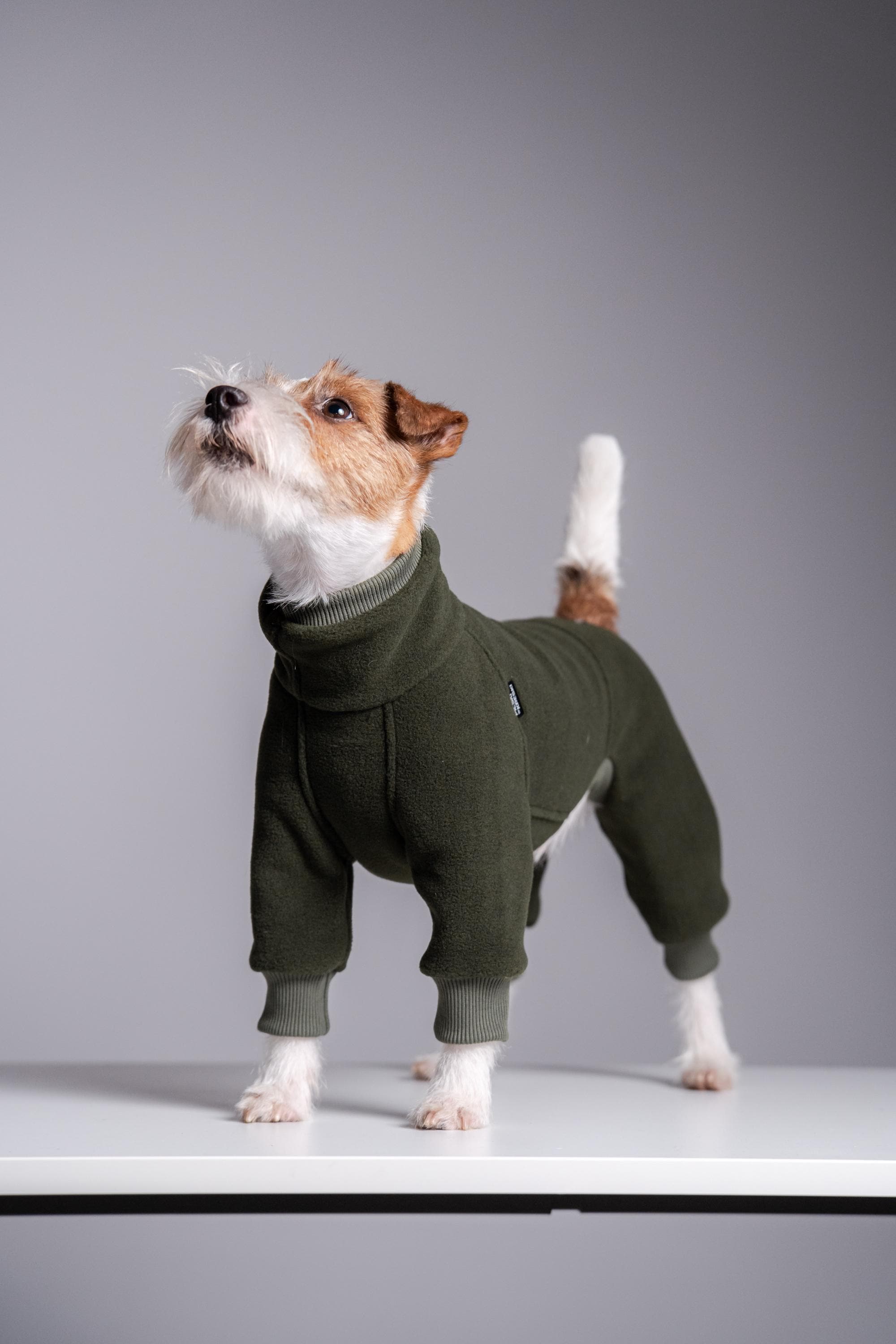 Hundemantel mit beinen - Etsy.de