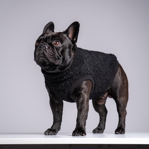75% ull Fransk bulldoggtröja – Frenchie Clothes, Engelsk bulldoggtröja, Svart
