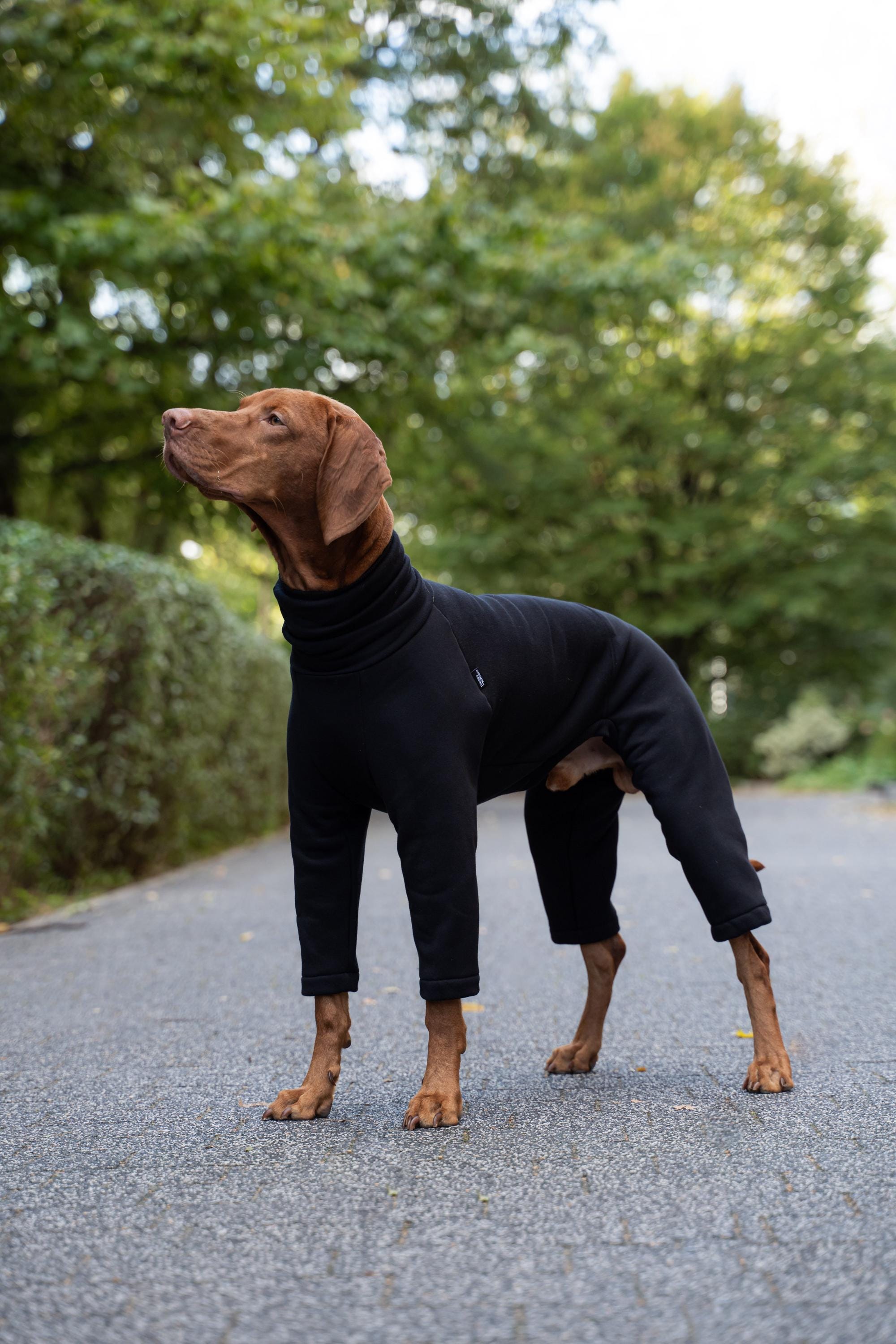 Vizsla pyjamas hotsell