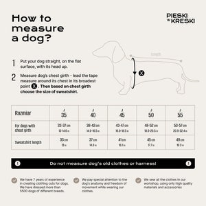May include: A guide on how to measure a dog for a sweatshirt. The illustration shows a dachshund with a measuring tape around its chest. A table lists different sizes in inches and centimeters for chest girth and sweatshirt length.