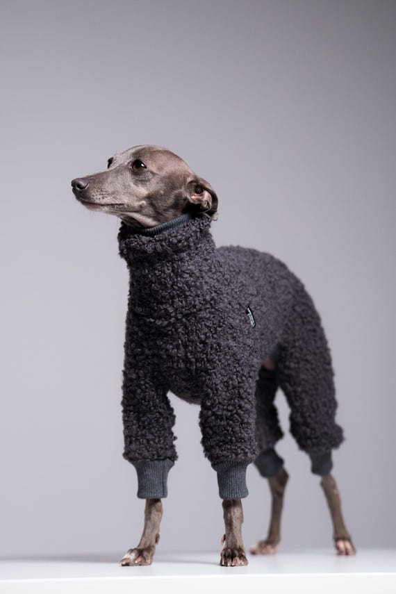 75% Wool Italian Greyhound Jumpsuit – Iggy Dog Overall, Iggy