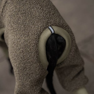 42% wool Jumpsuit for Whippet whippet clothes KHAKI image 7