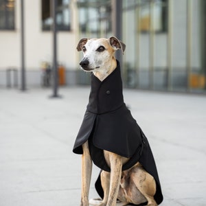 Softshell Coat for Whippet with Reflectors whippet clothes BLACK image 3