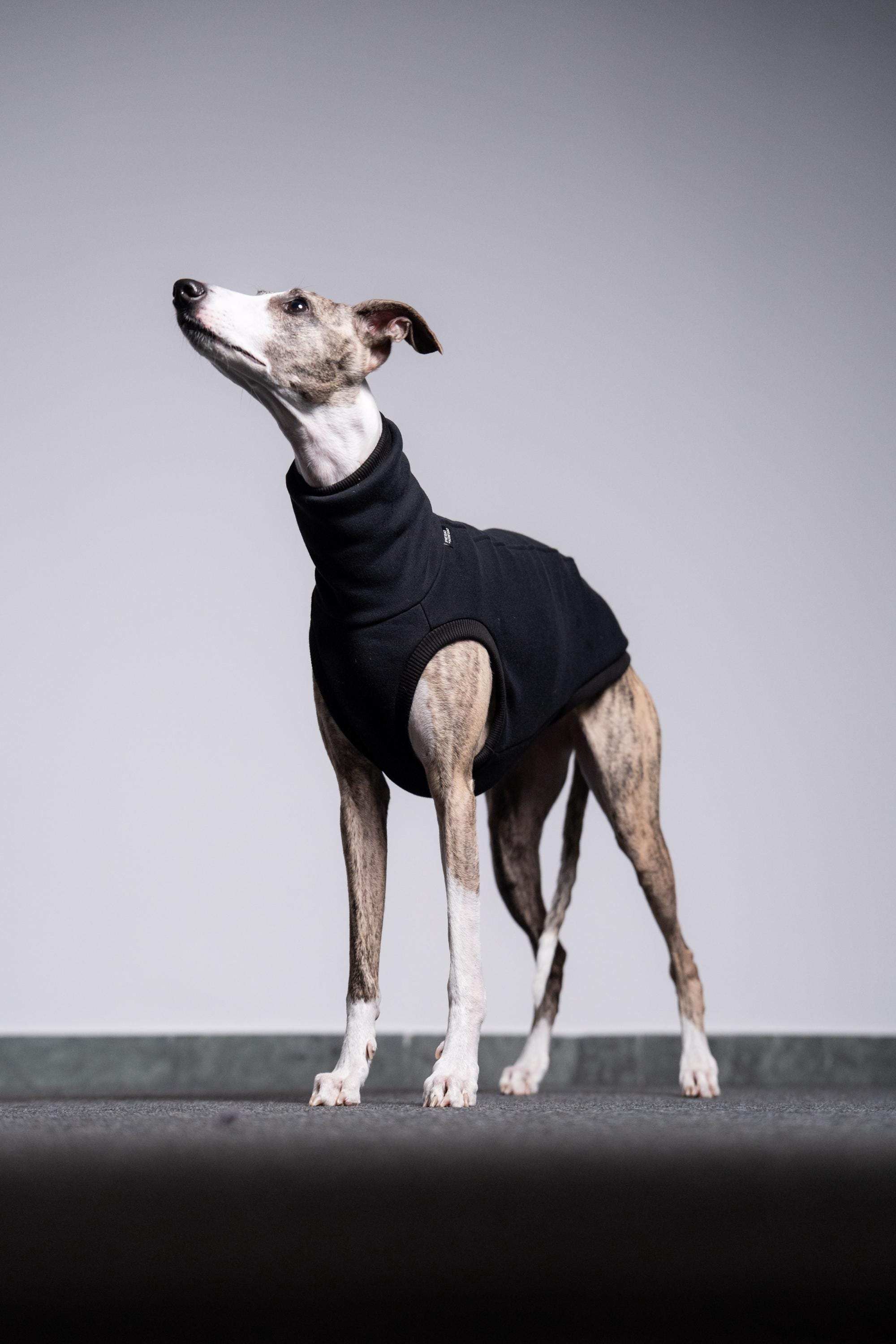 イタグレ　ウィペット　ウールTシャツ Whippet cotton shirt - Etsy 日本