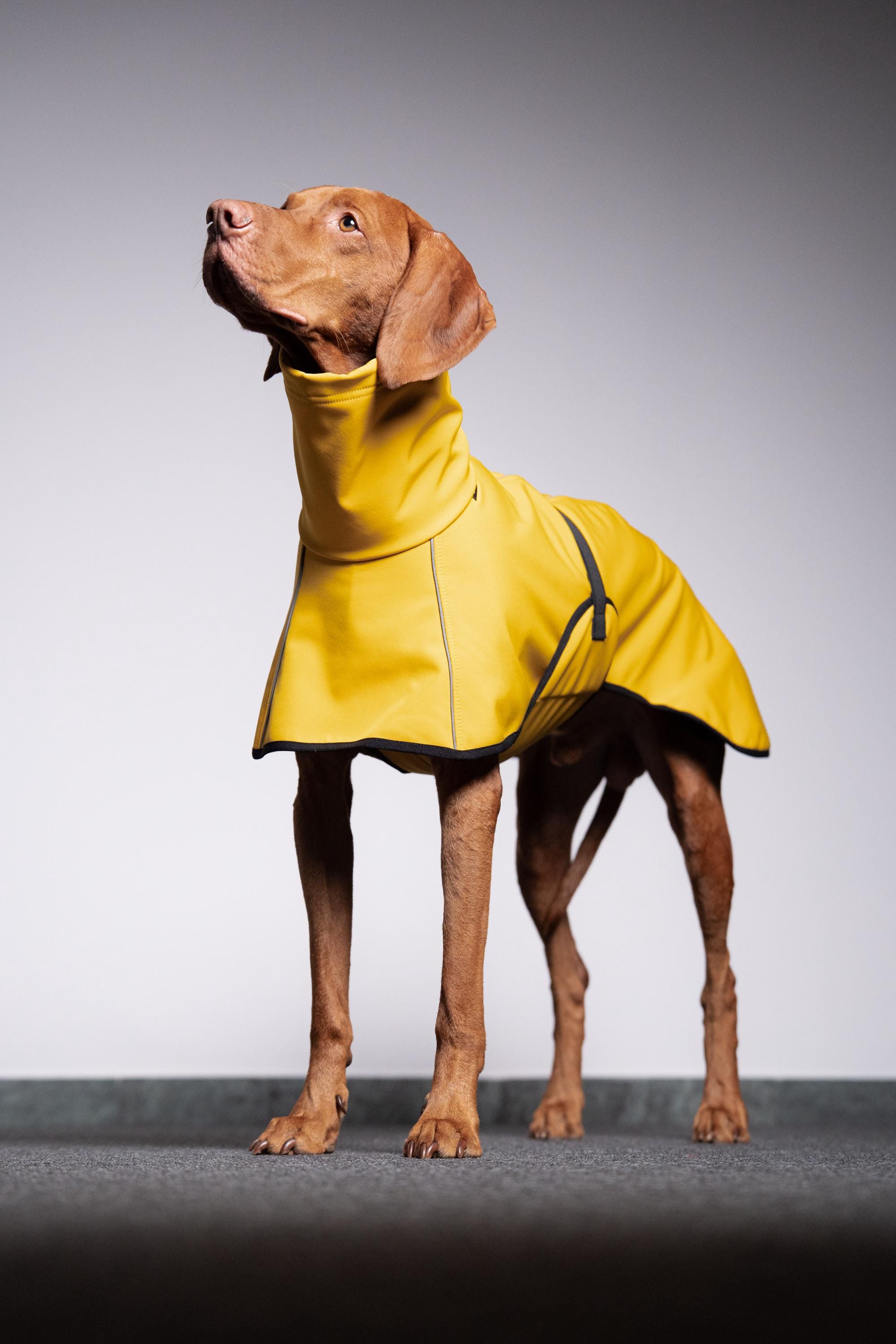 【くると様】ネオポルテ　或世イヌ　通常衣装　ジャケットのみ くると様】ネオポルテ 或世イヌ 通常衣装 ジャケットのみ Live-action