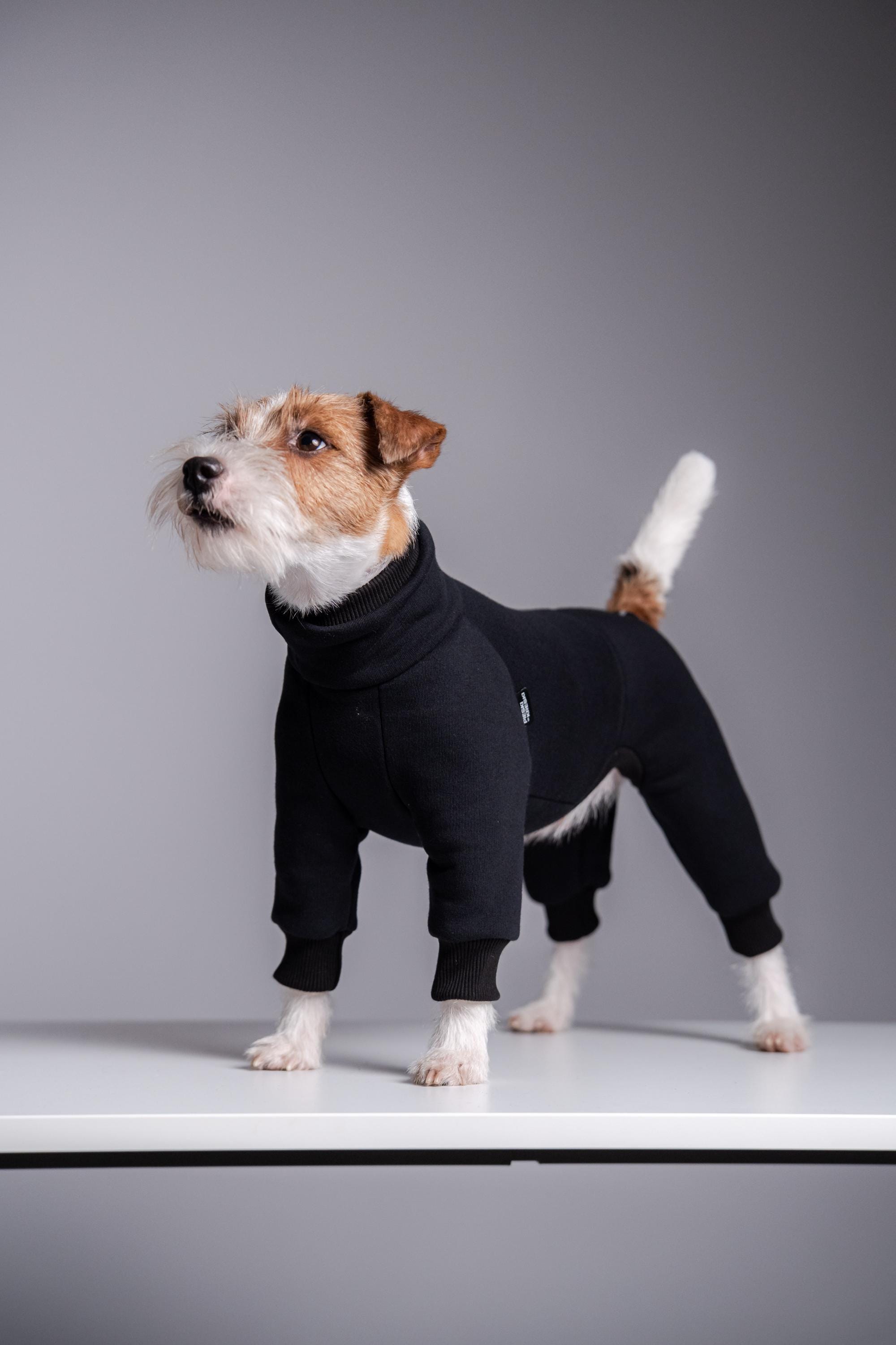 plsch hundespielzeug Tierisches quietschendes Plsch-Hundespielzeug  FunnyFuzzy