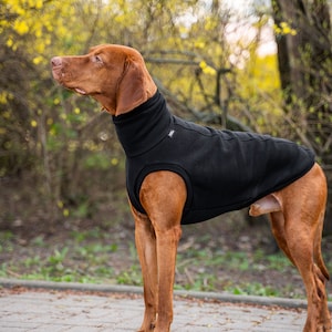 90% Baumwolle Sweatshirt für Vizsla Hundebekleidung Schwarz Bild 4