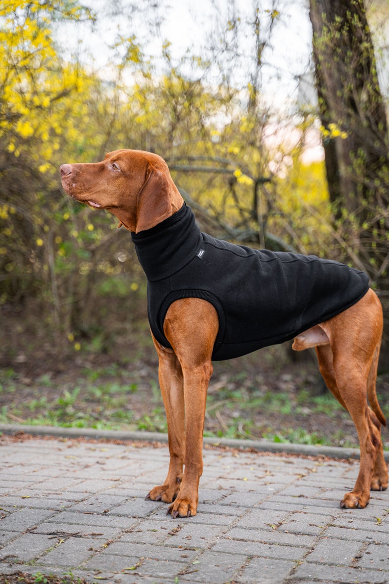 90% Baumwolle Sweatshirt für Vizsla Hundebekleidung Schwarz Bild 4