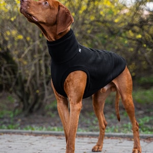 90% Baumwolle Sweatshirt für Vizsla Hundebekleidung Schwarz Bild 2