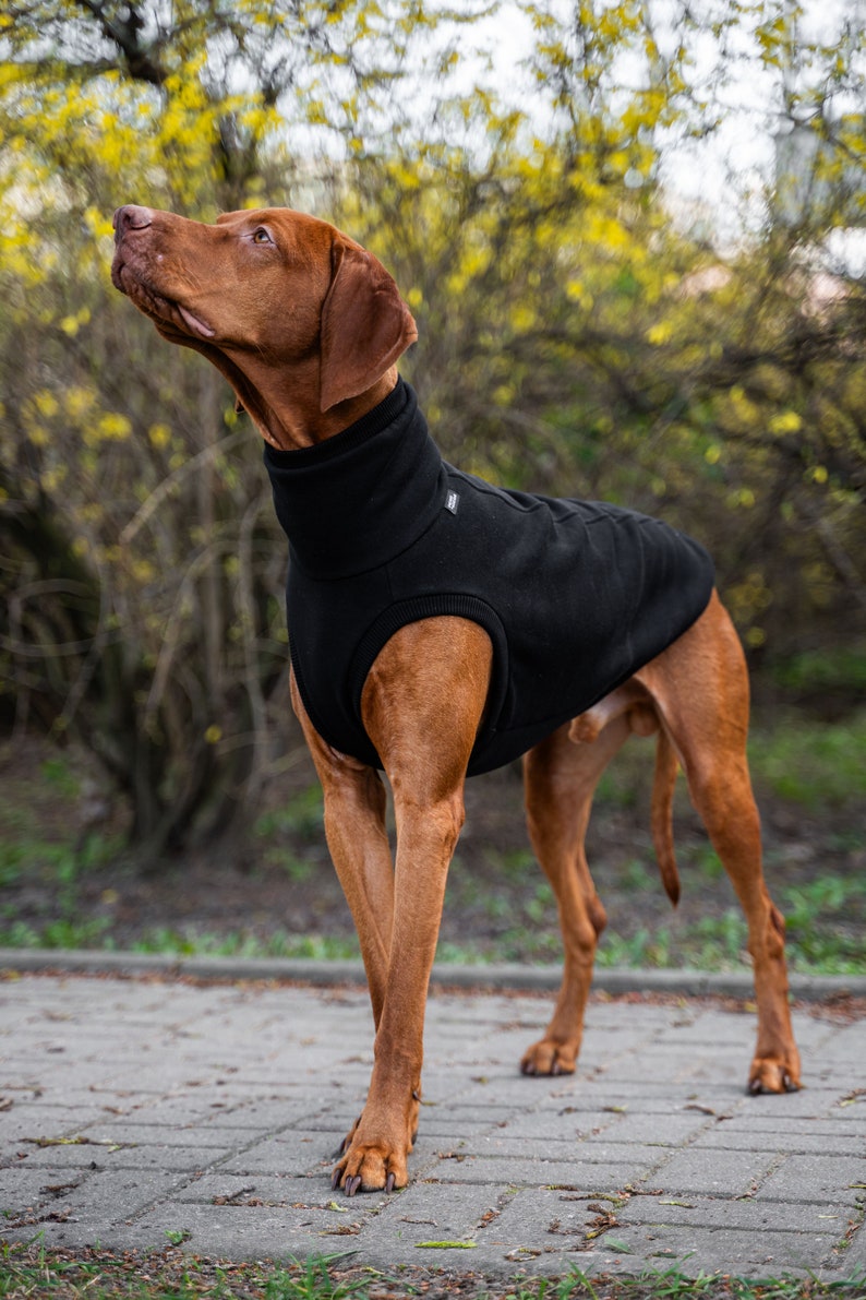 90% Baumwolle Sweatshirt für Vizsla Hundebekleidung Schwarz Bild 2