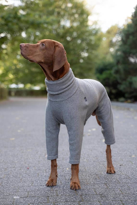 Polar PRO Comfortable One piece Jumpsuit for Vizsla Dog Clothes GREY Etsy
