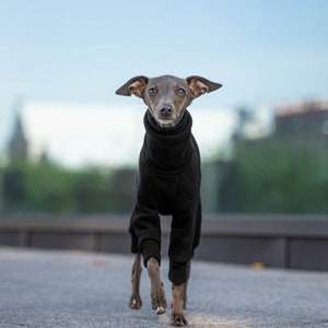 90% cotton Best italian greyhound clothing , comfortable Jumpsuit for iggy Black image 2