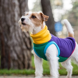 90% cotton Sweatshirt for Dog dog clothes COLORFUL image 5