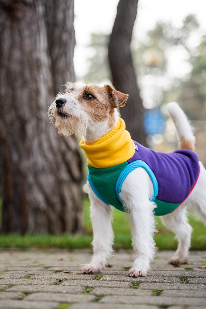 90% cotton Sweatshirt for Dog dog clothes COLORFUL image 5