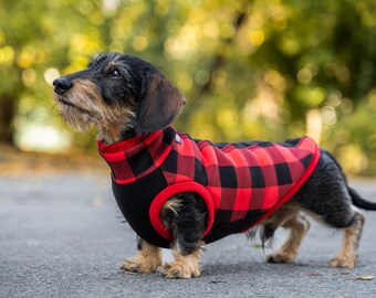 90% Baumwolle - Sweatshirt für Dackel - Dackel Pullover - ROT/SCHWARZ