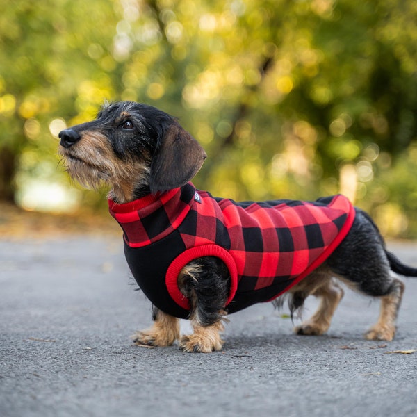 90% cotton - Sweatshirt for Dachshund - dachshund sweater - RED/BLACK