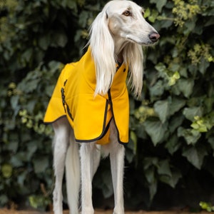 Waterproof Softshell Jacket with Reflectors Stylish Protection for big sighthound. Saluki, sloughi, galgo image 5