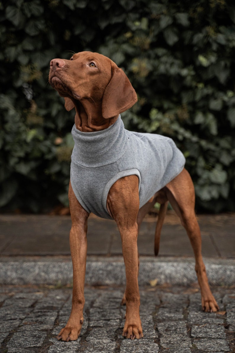 Fleece PRO Sweatshirt für Vizsla Hundebekleidung Grau Bild 1