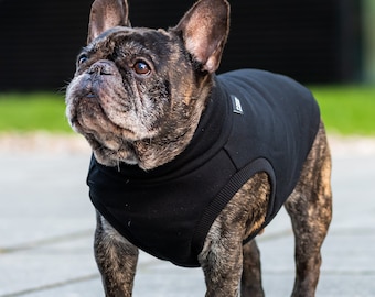 90 % coton - Sweat-shirt pour Frenchie - Vêtements de bouledogue français - NOIR