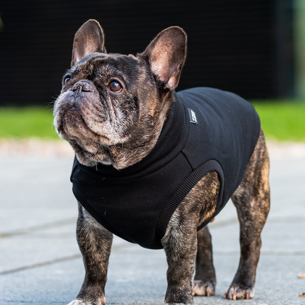 90 % coton - Sweat-shirt pour Frenchie - Vêtements de bouledogue français - NOIR