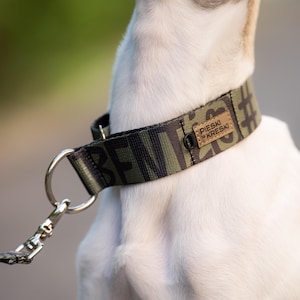 Martingale dog collar best for whippet, sighthound collar, dog accessories / italian greyhound, whippet, saluki - Pawrter in Crime