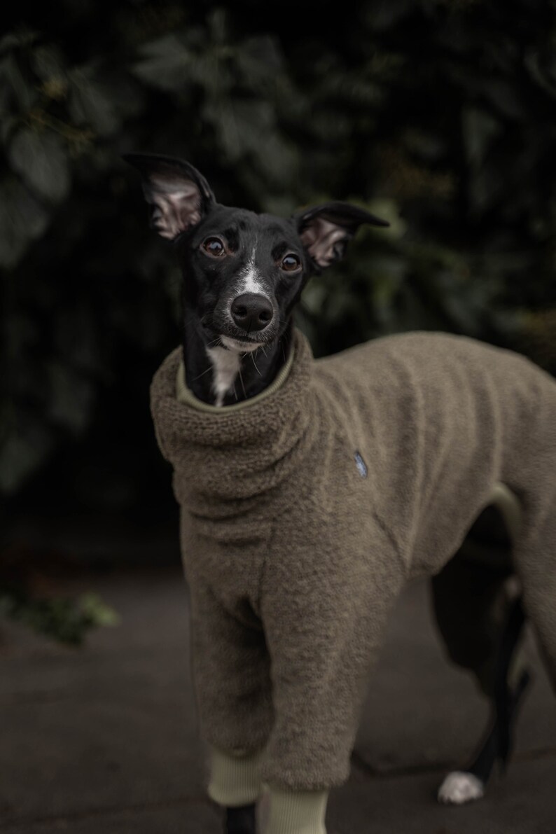 42% wool Jumpsuit for Whippet whippet clothes KHAKI image 3