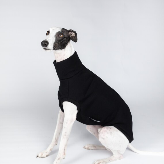 greyhound hoodie
