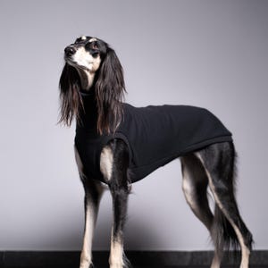 90% katoen - Comfortabele trui voor grote windhonden - Saluki, Galgo kleding - ZWART