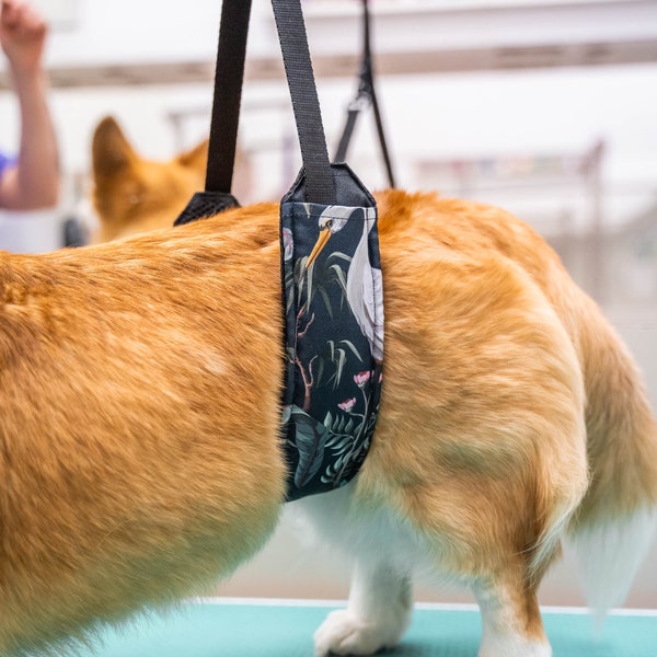 Belly Band Dog Grooming Pieskiwkreski Etsy