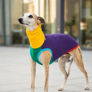 90% cotton - Sweatshirt for Whippet - whippet clothes - COLORFUL