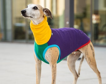 90% Baumwolle - Sweatshirt für Whippet - Whippet Kleidung - Bunt