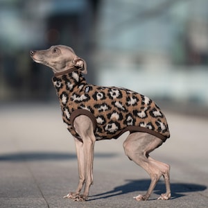 34% Wool Iggy Jumper – Italian Greyhound Clothing, Leopard