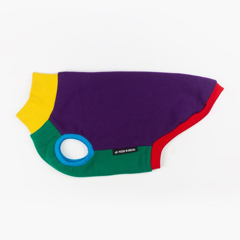 Crazy Dog Hoodie Pieski W Kreski Dog Hoodie Dog Clothes Etsy