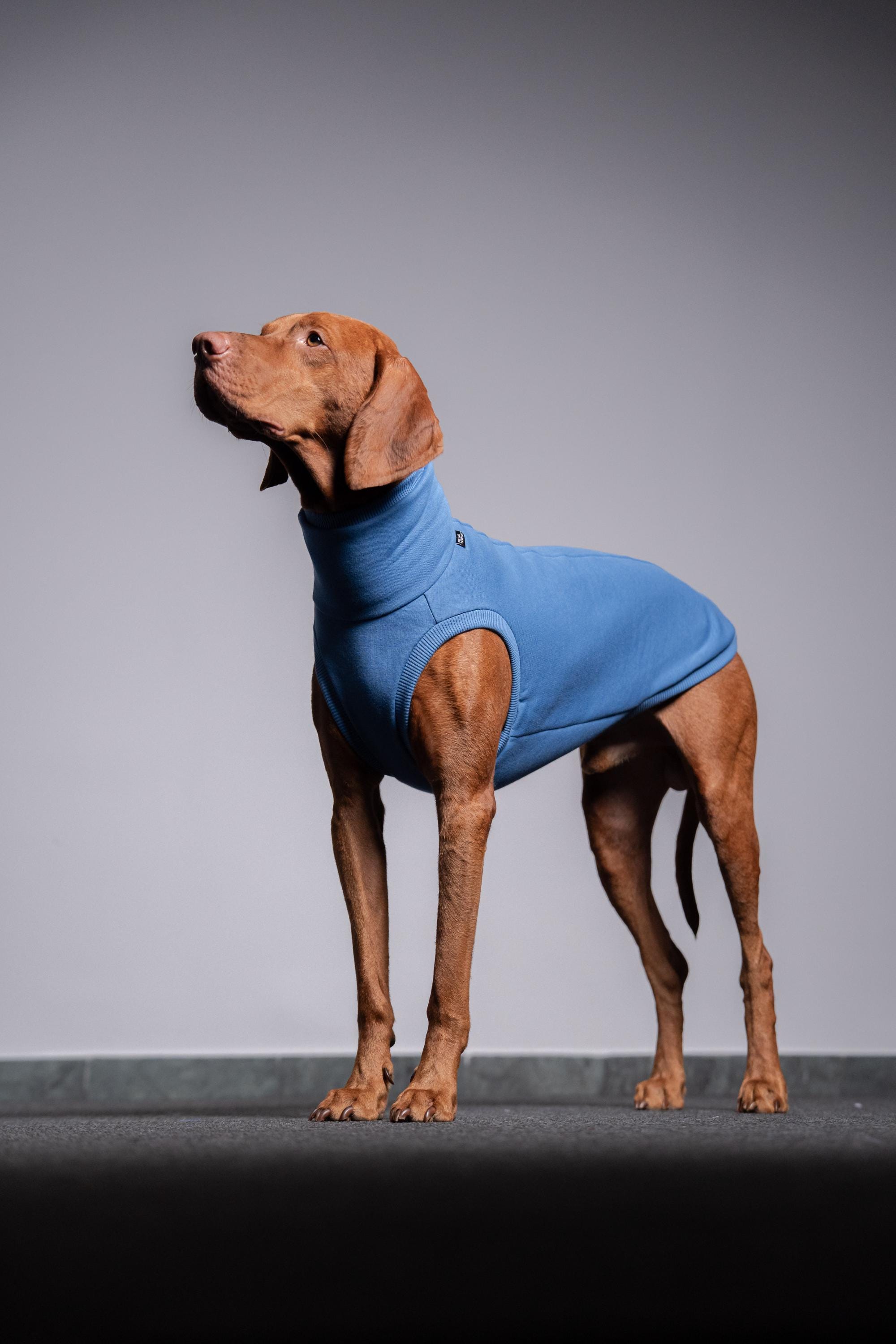 Rhodesian ridgeback dog coats - Etsy.de