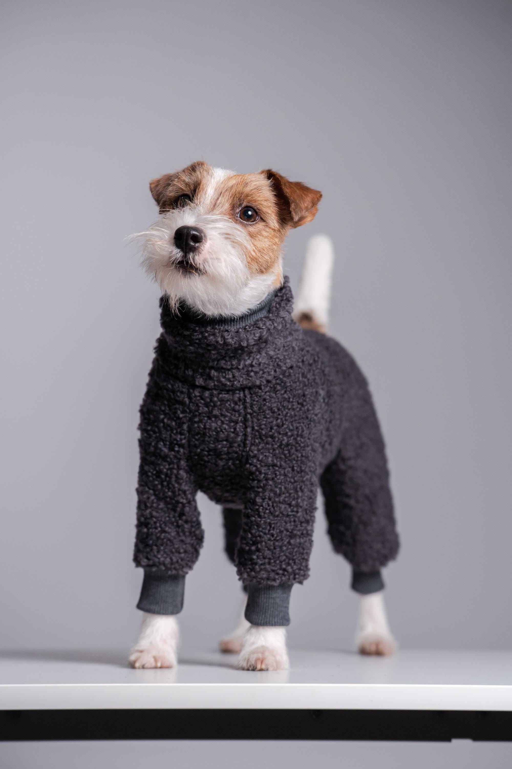 Hundemantel jack russel - Etsy.de