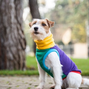 90% cotton Sweatshirt for Dog dog clothes COLORFUL image 9