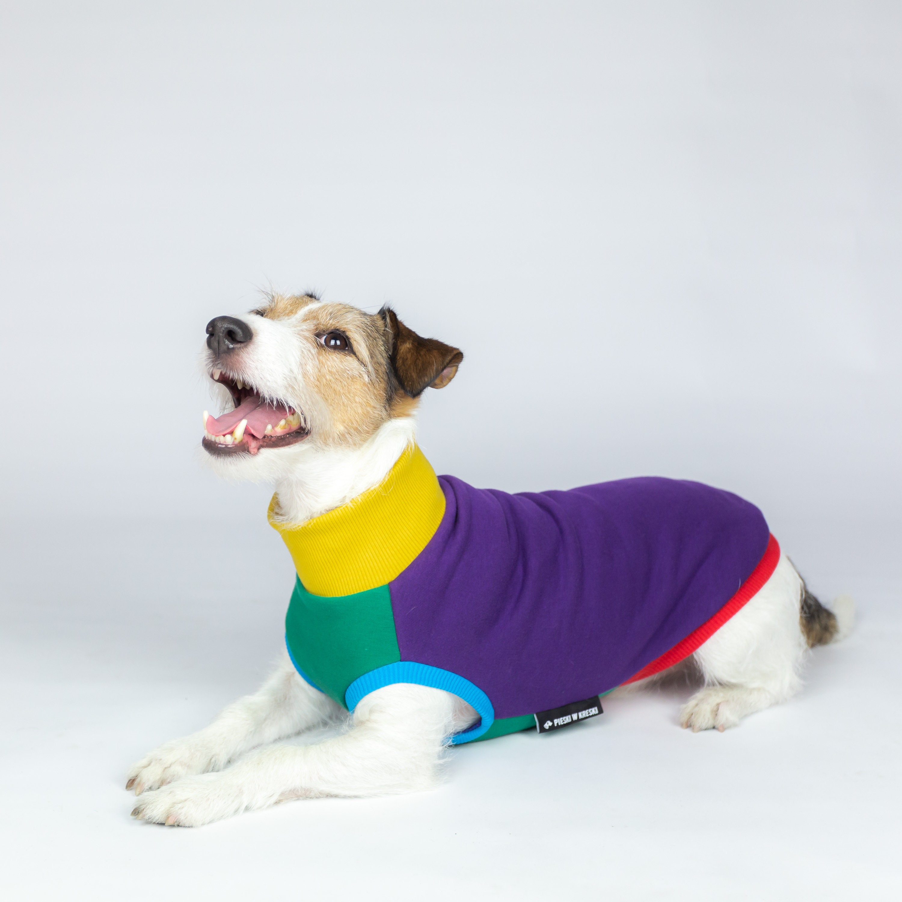 kid krazy dog tracker