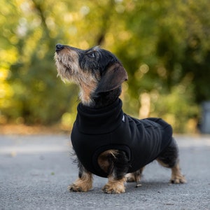 90 % coton Sweat-shirt pour teckel pull teckel NOIR image 3