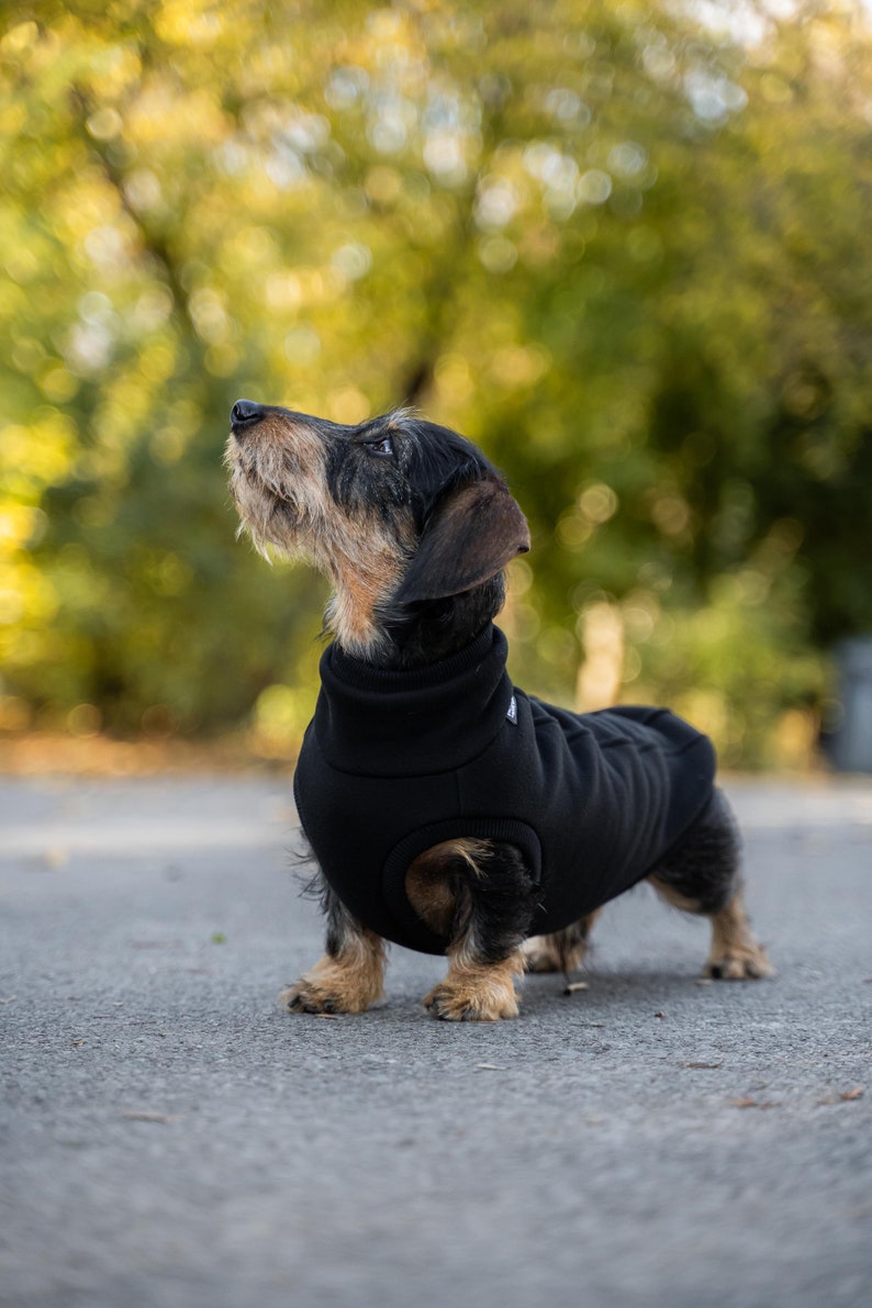 90 % coton Sweat-shirt pour teckel pull teckel NOIR image 3