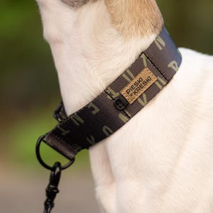Martingale dog collar best for whippet, sighthound collar, dog accessories / italian greyhound, whippet, saluki - Pawrter in Crime (simple)