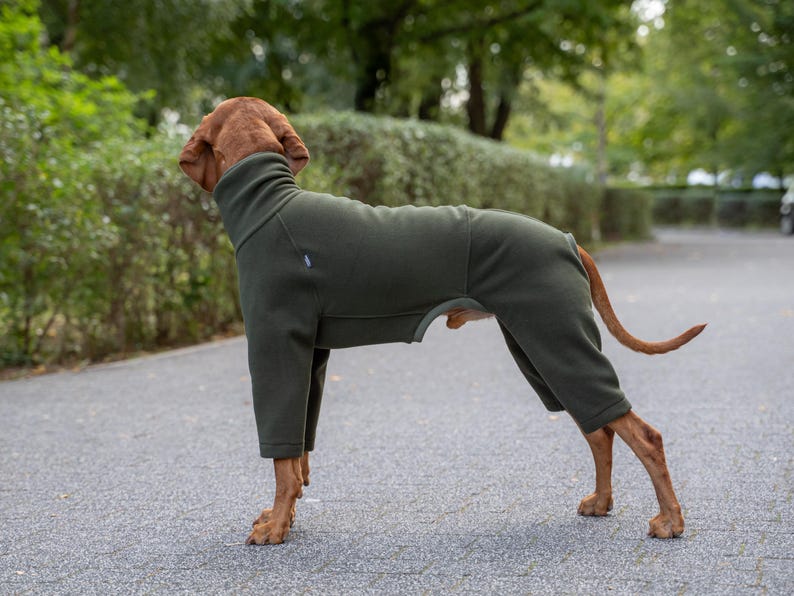 Polar PRO Comfortable, Onepiece Jumpsuit for Vizsla, Dog Clothes KHAKI