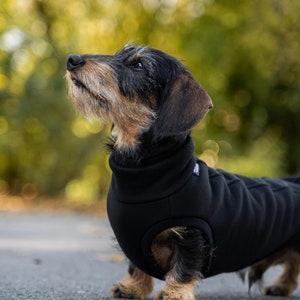 90 % coton Sweat-shirt pour teckel pull teckel NOIR image 4