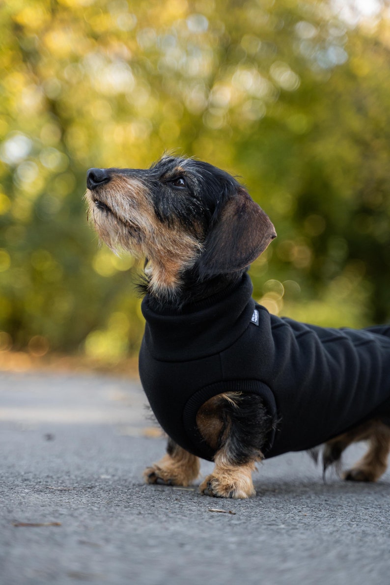 90 % coton Sweat-shirt pour teckel pull teckel NOIR image 4