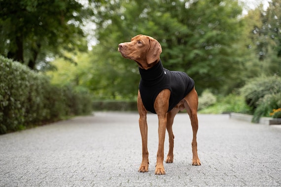 90 Cotton Premium Comfortable Sweatshirt for Vizsla Clothes for Big Dogs BLACK Etsy UK