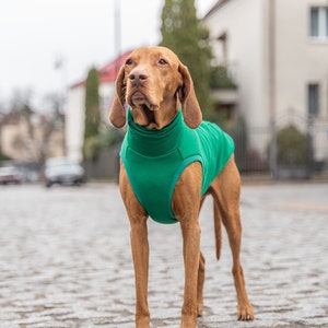 90% cotton Sweatshirt for Vizsla dog clothes GREEN image 2