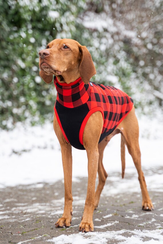 Vizsla sweater hotsell