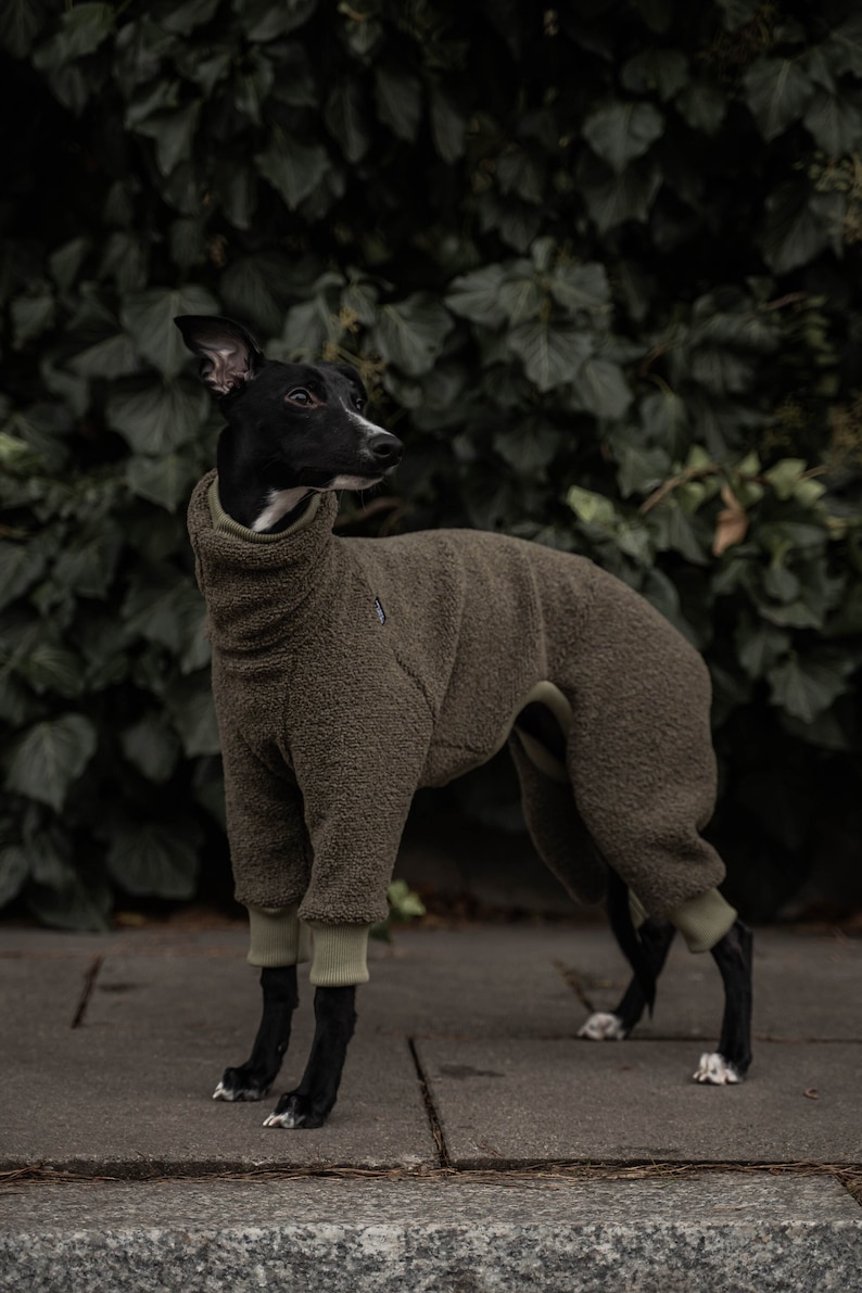 42% wool Jumpsuit for Whippet whippet clothes KHAKI image 1